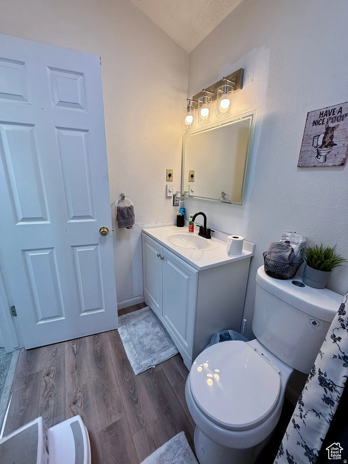 Bathroom featuring vanity, dark wood-style floors, and a textured ceiling