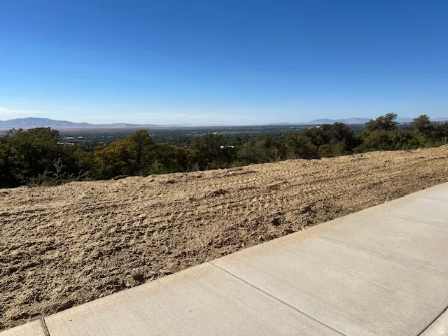 View of yard with a view of rural / pastoral area and a mountain view