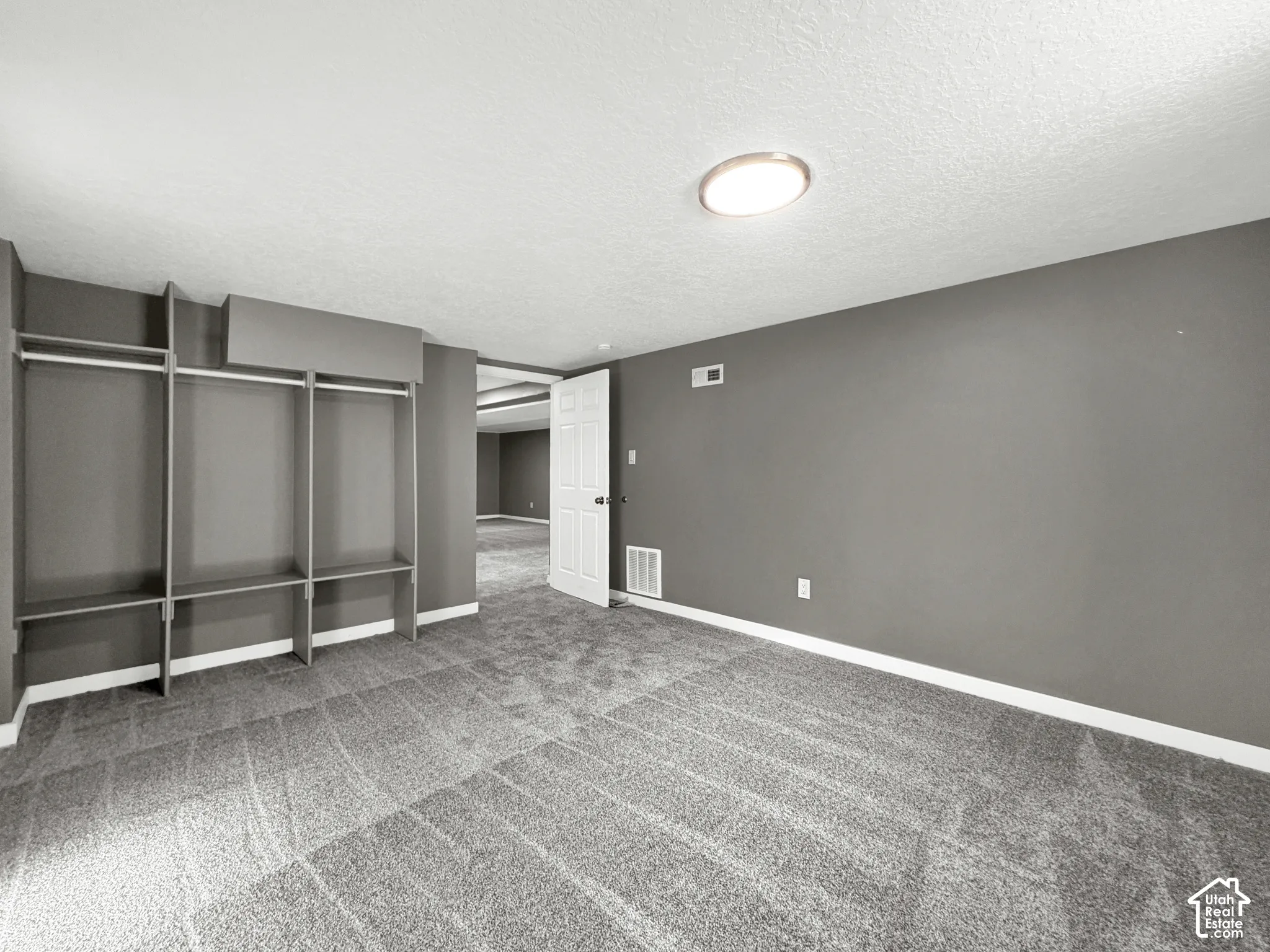 Built-in open shelving and clothing rods, light gray carpeting, and neutral gray wall paint