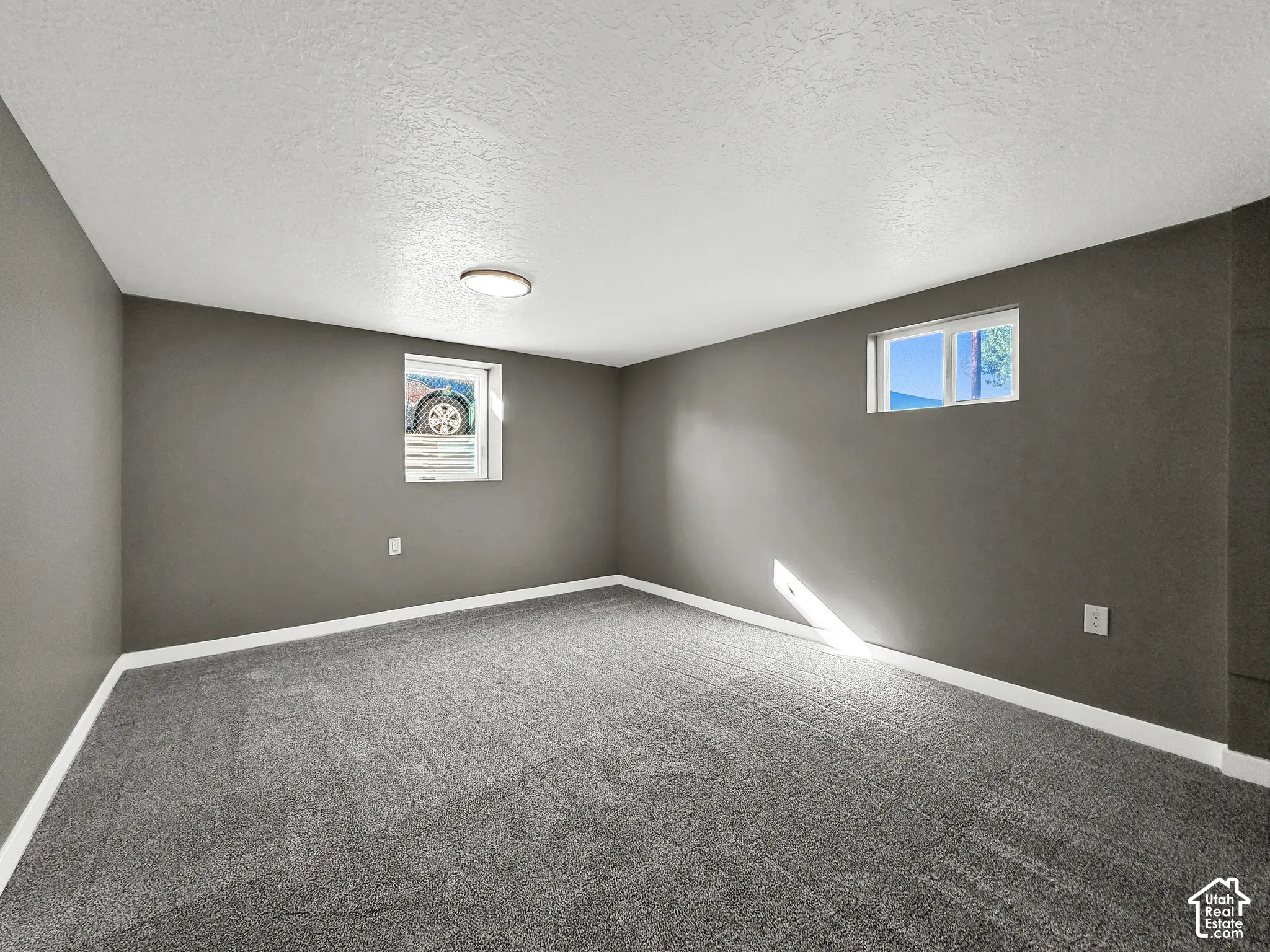 Plush gray carpeting, white trim, two windows, and a flush-mount ceiling light fixture