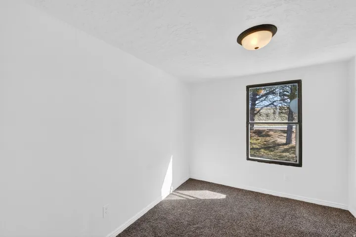Empty room featuring carpet and a textured ceiling