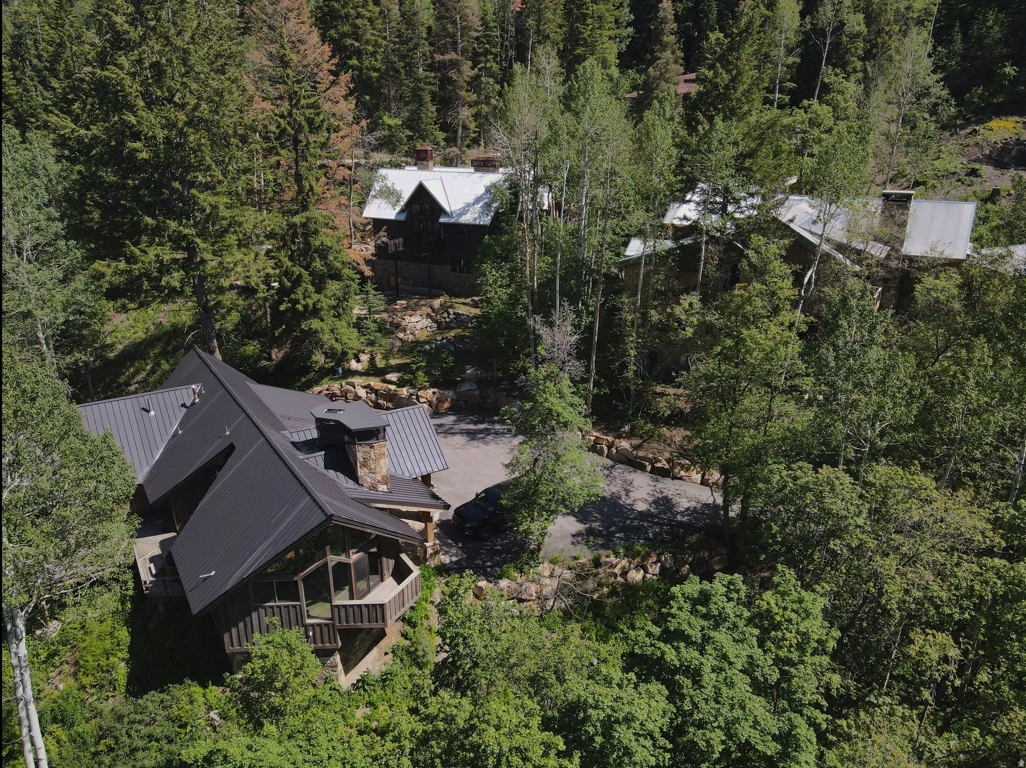 Multiple residences surrounded by extensive tree coverage