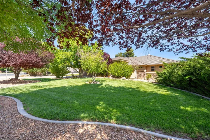View of grassy yard