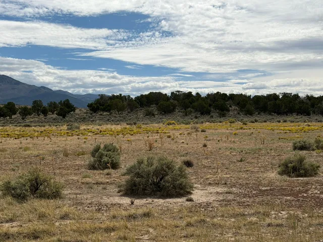 Expansive undeveloped land featuring natural vegetation and distant mountain ranges