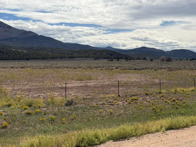 Expansive terrain featuring natural vegetation and distant mountains under a dramatic sky