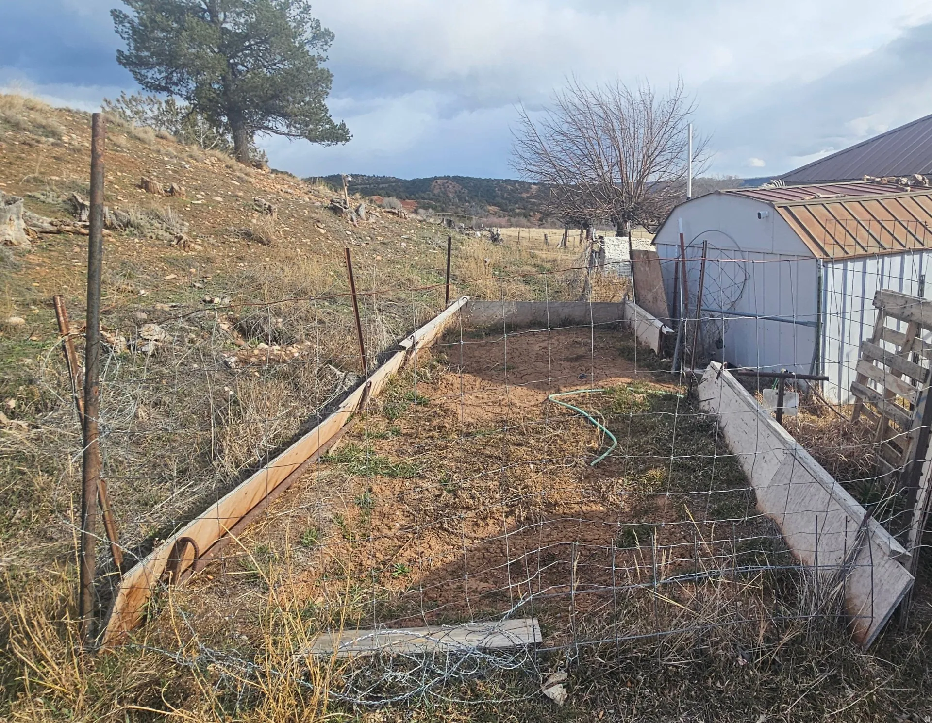 View of yard with a shed