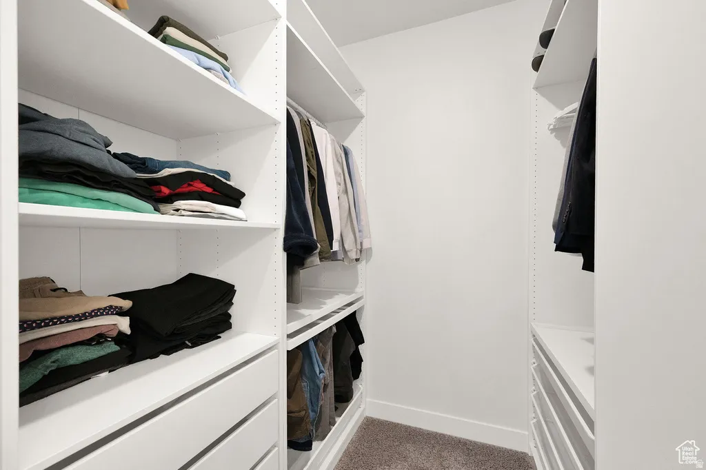 View of walk in closet