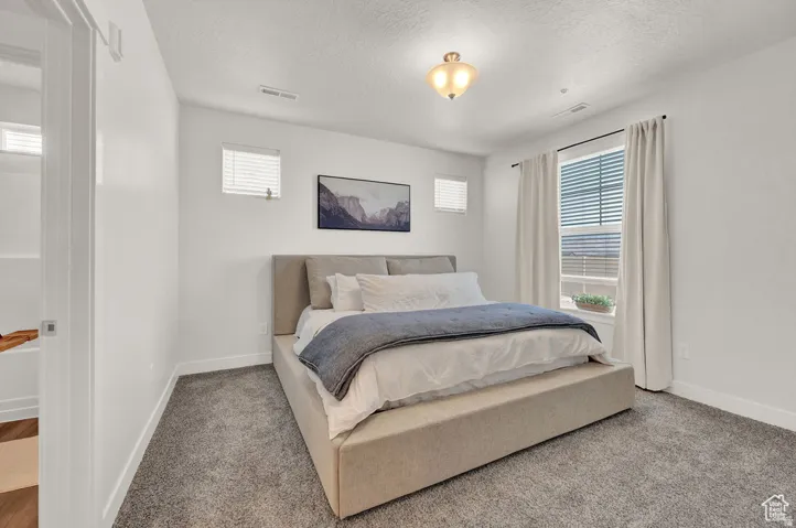Bedroom with multiple windows, carpet, and a textured ceiling