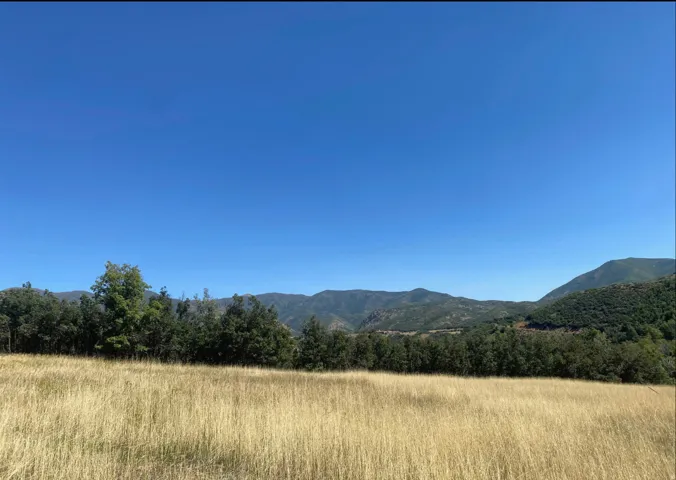 Mountain view with rural landscape and a forest