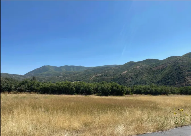 View of mountain background featuring rural landscape and a heavily wooded area