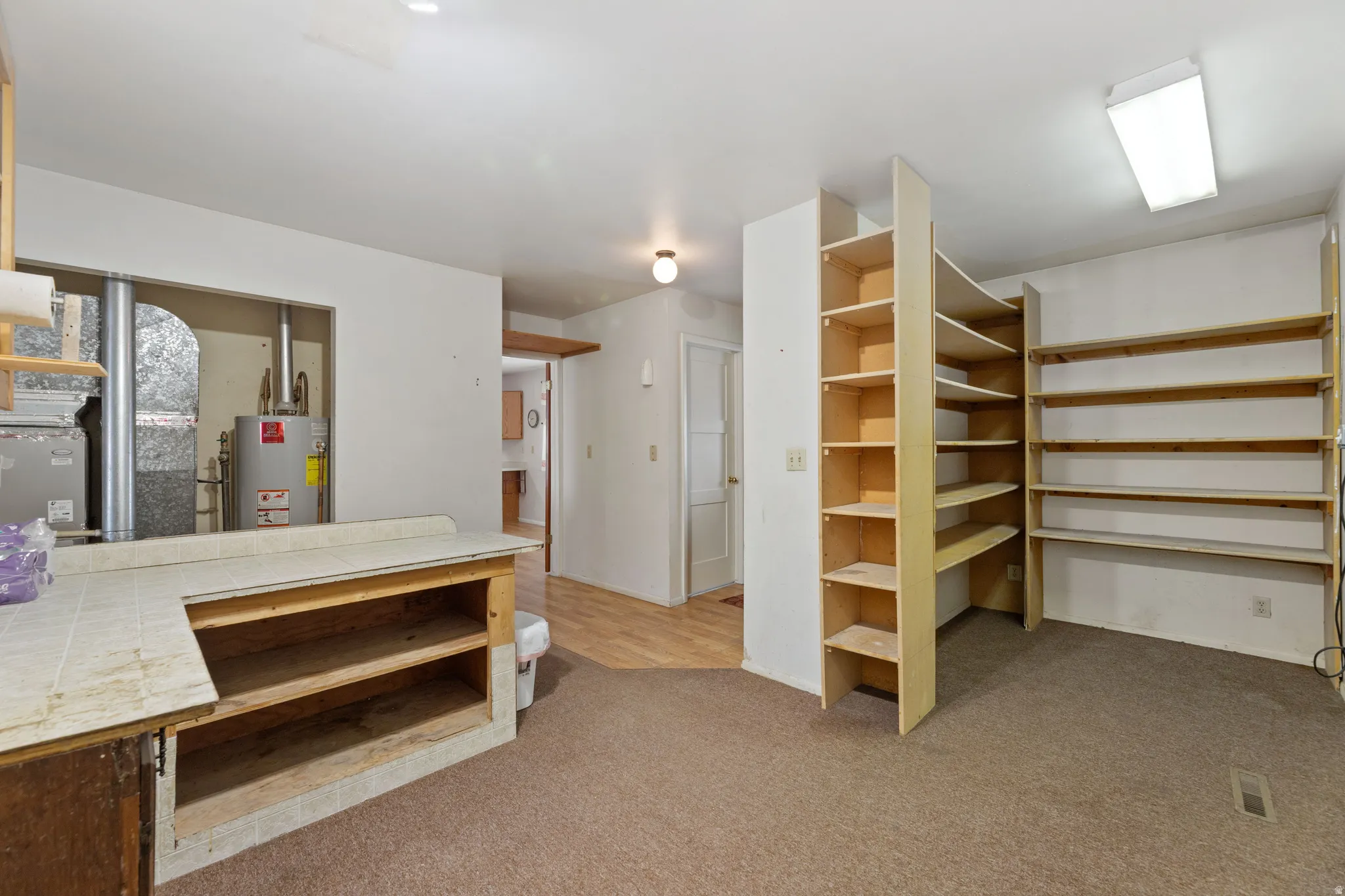 Walk in closet featuring light carpet and gas water heater