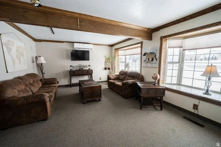 Living area with crown molding and carpet floors
