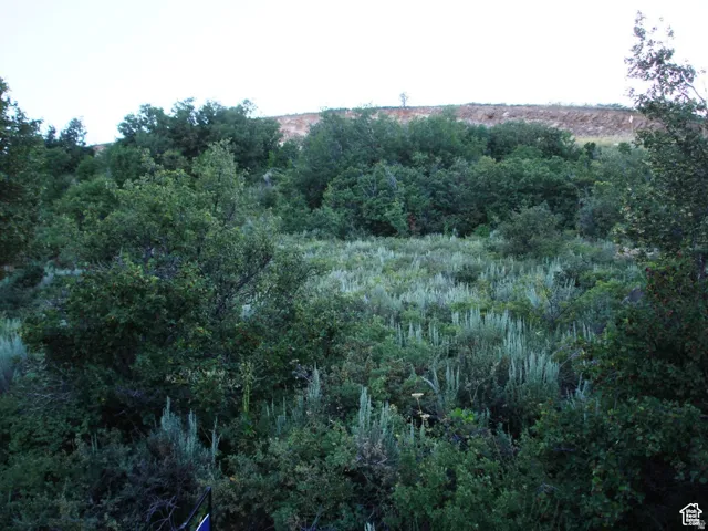 View of nature