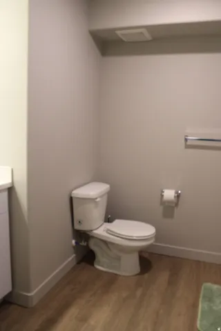 Bathroom featuring dark wood-style floors and vanity