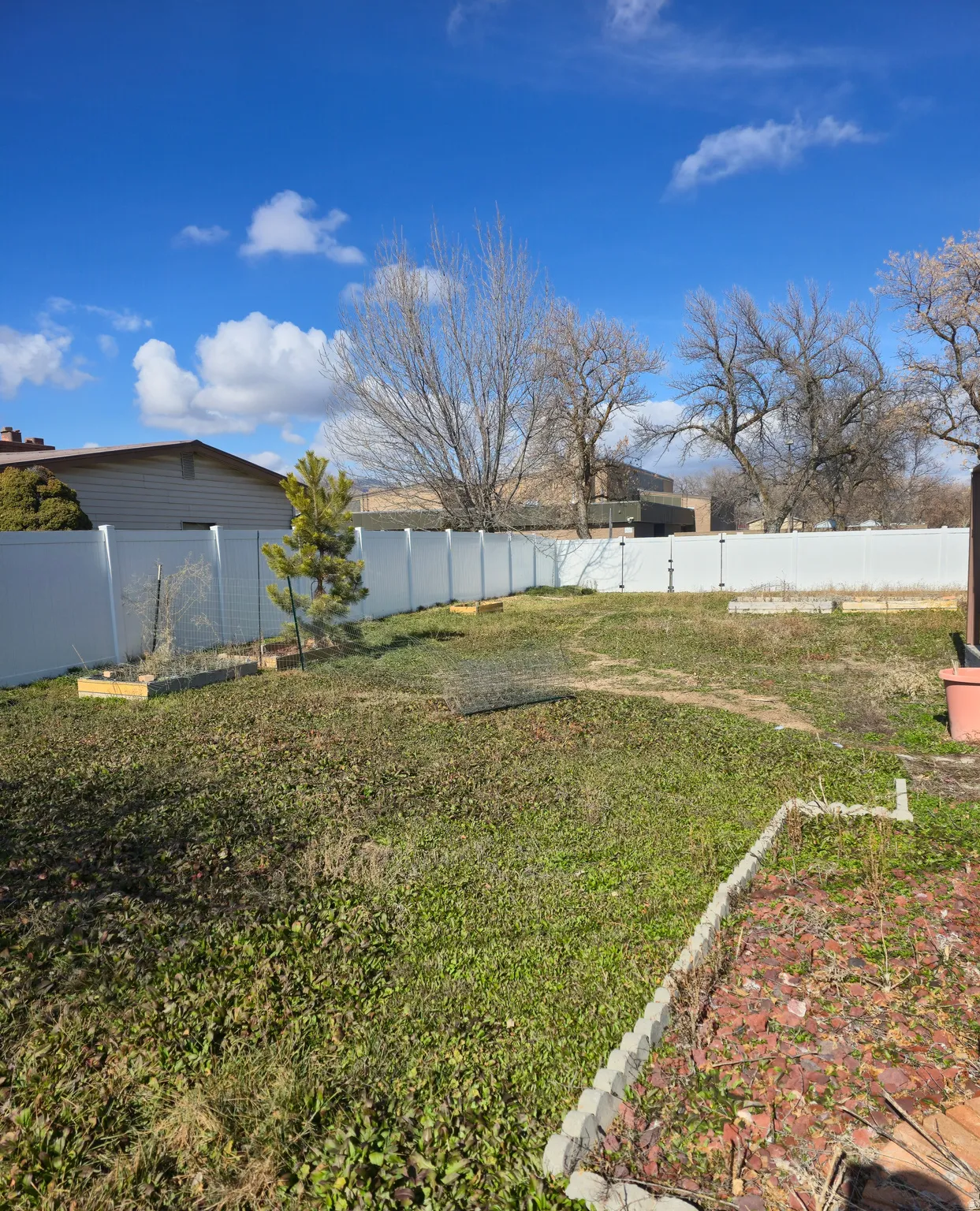 View of fenced backyard