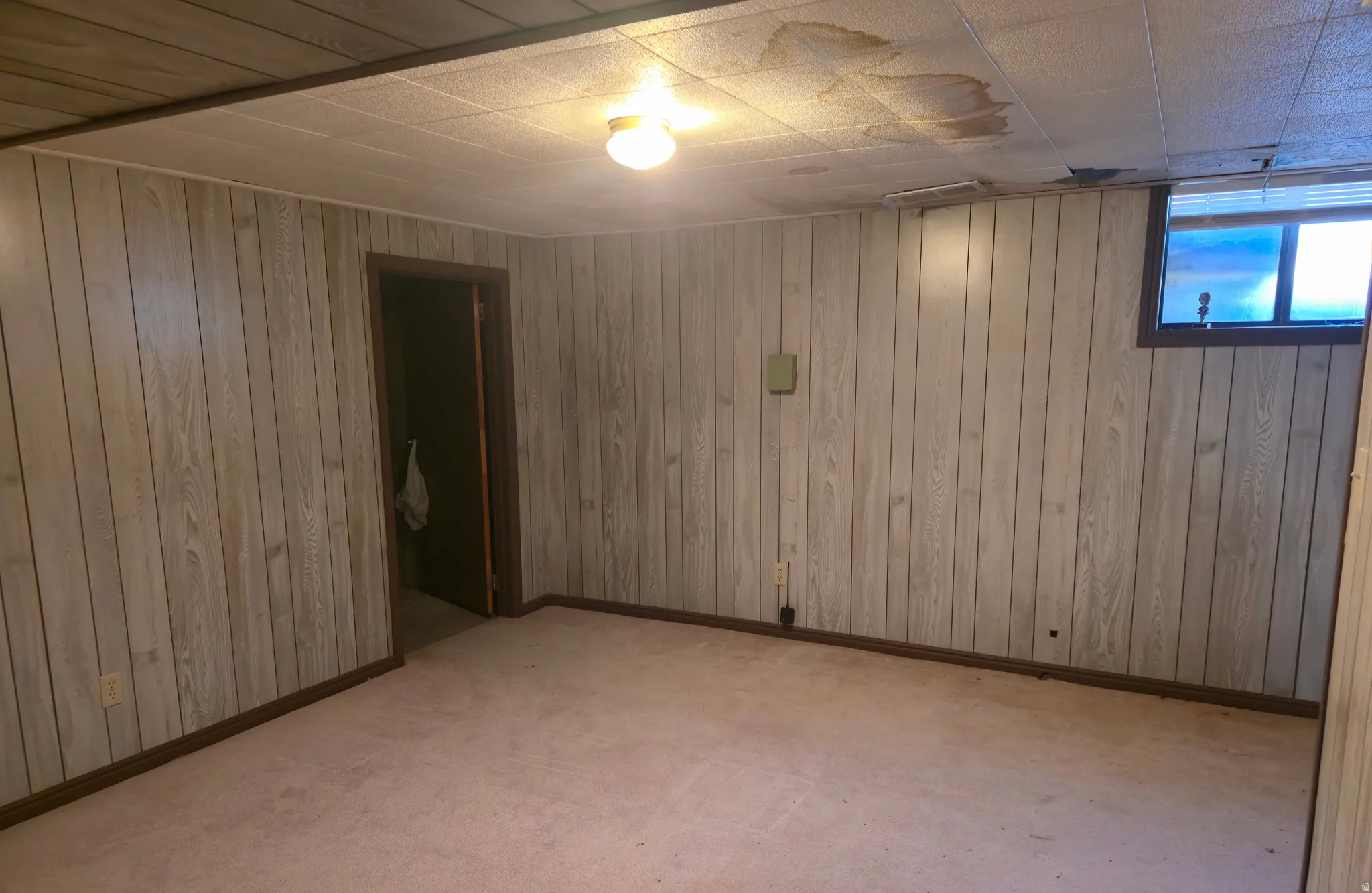 Below grade area with wood walls and light carpet