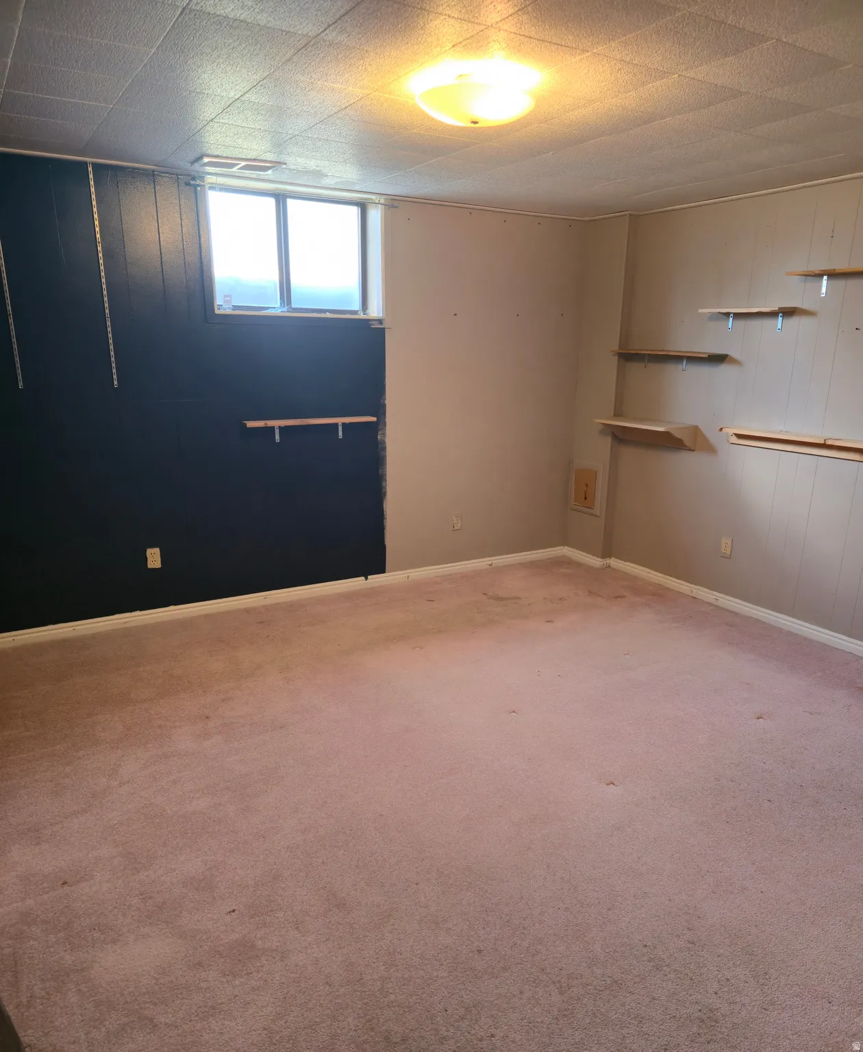 Carpeted spare room with wood walls