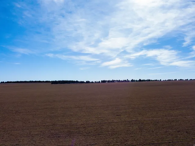 View of undeveloped land featuring rural landscape