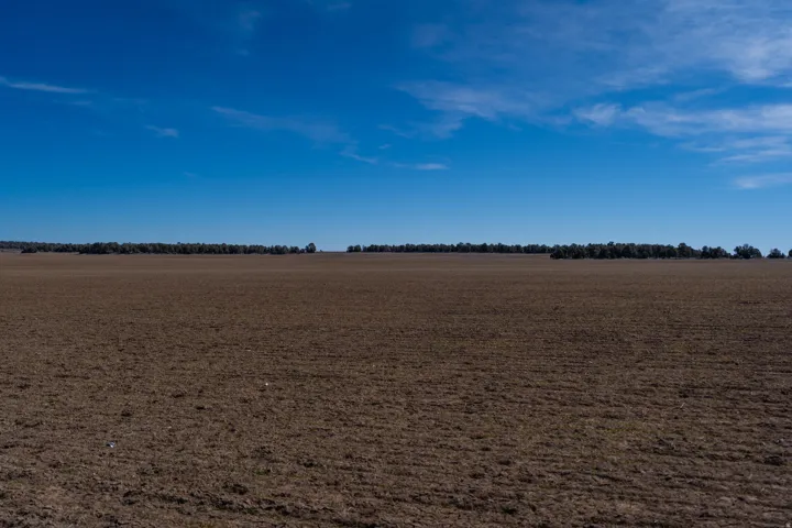 View of local wilderness featuring rural landscape
