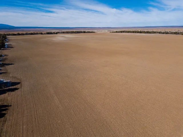 Overview of rural landscape with large plots for crops and mountains