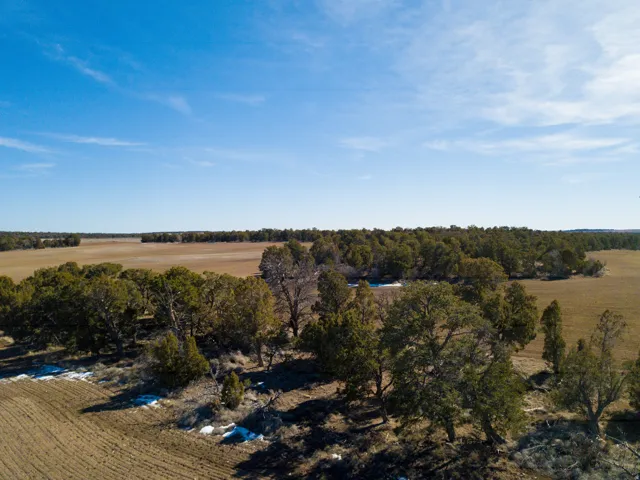 View of rural area