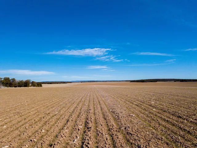 View of yard with agricultural area and a view of countryside