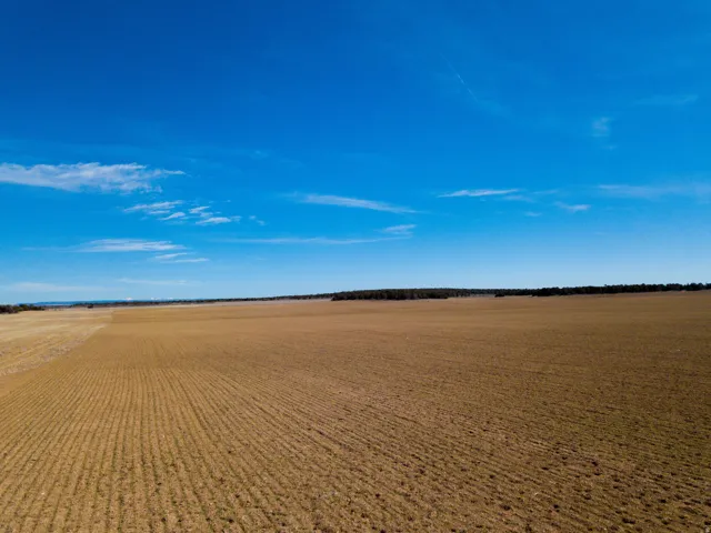 Water view featuring rural landscape and extensive farmland