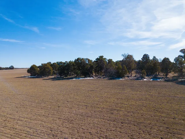 Water view featuring rural landscape