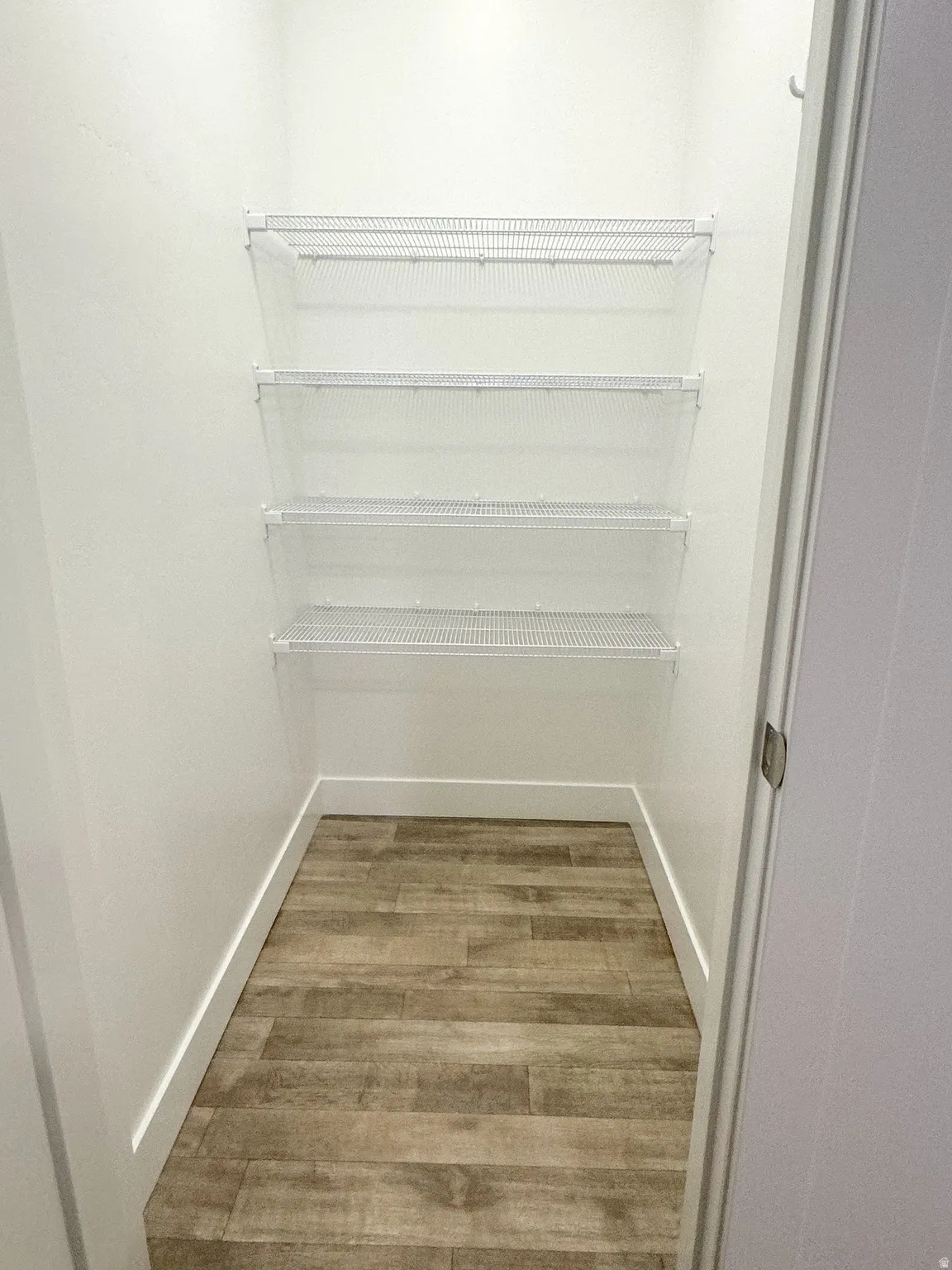 Walk in closet featuring light wood-style flooring