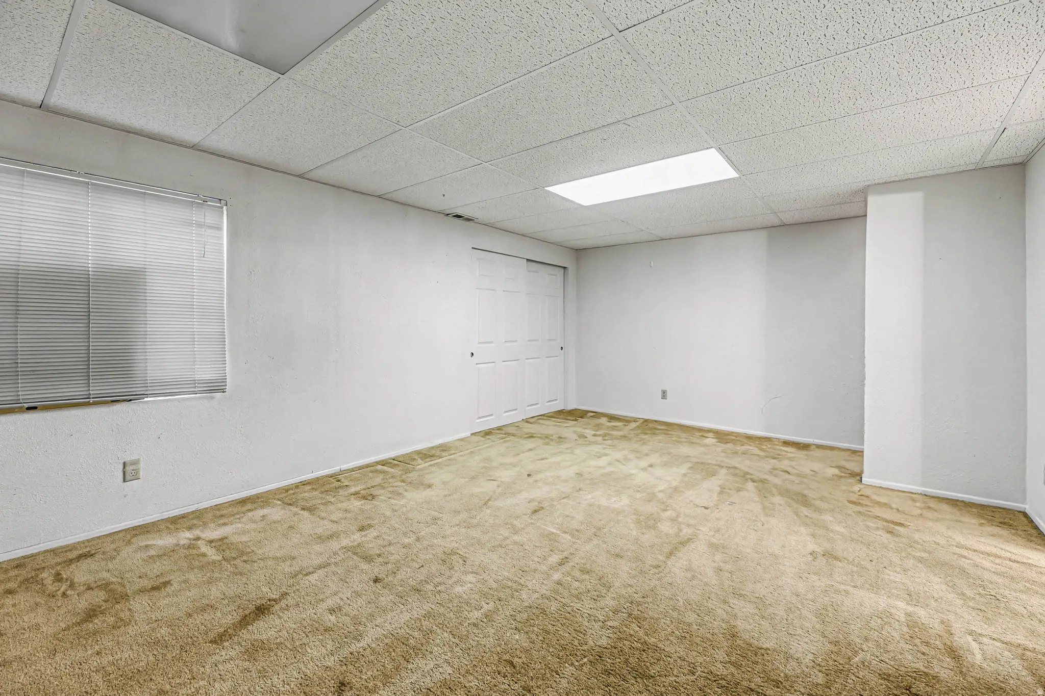 Empty room featuring a paneled ceiling, carpet, and a textured wall