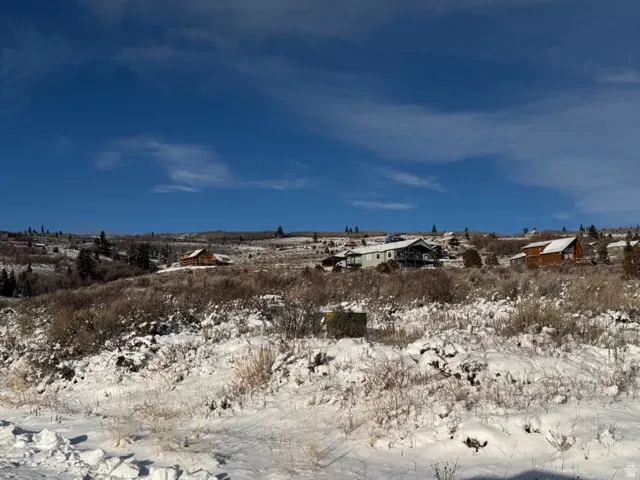 Snowy landscape