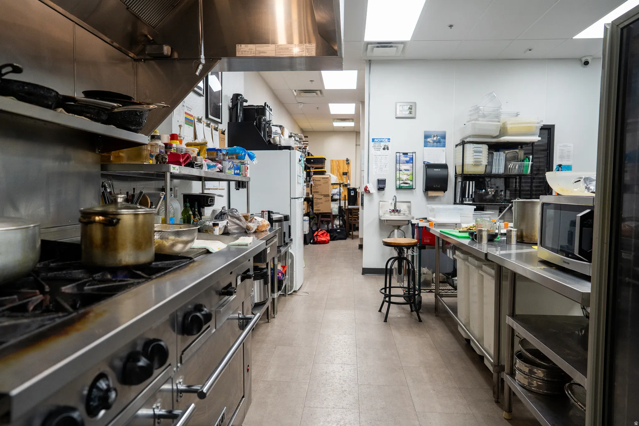 Kitchen with stainless steel countertops, a drop ceiling, stainless steel appliances, and extractor fan