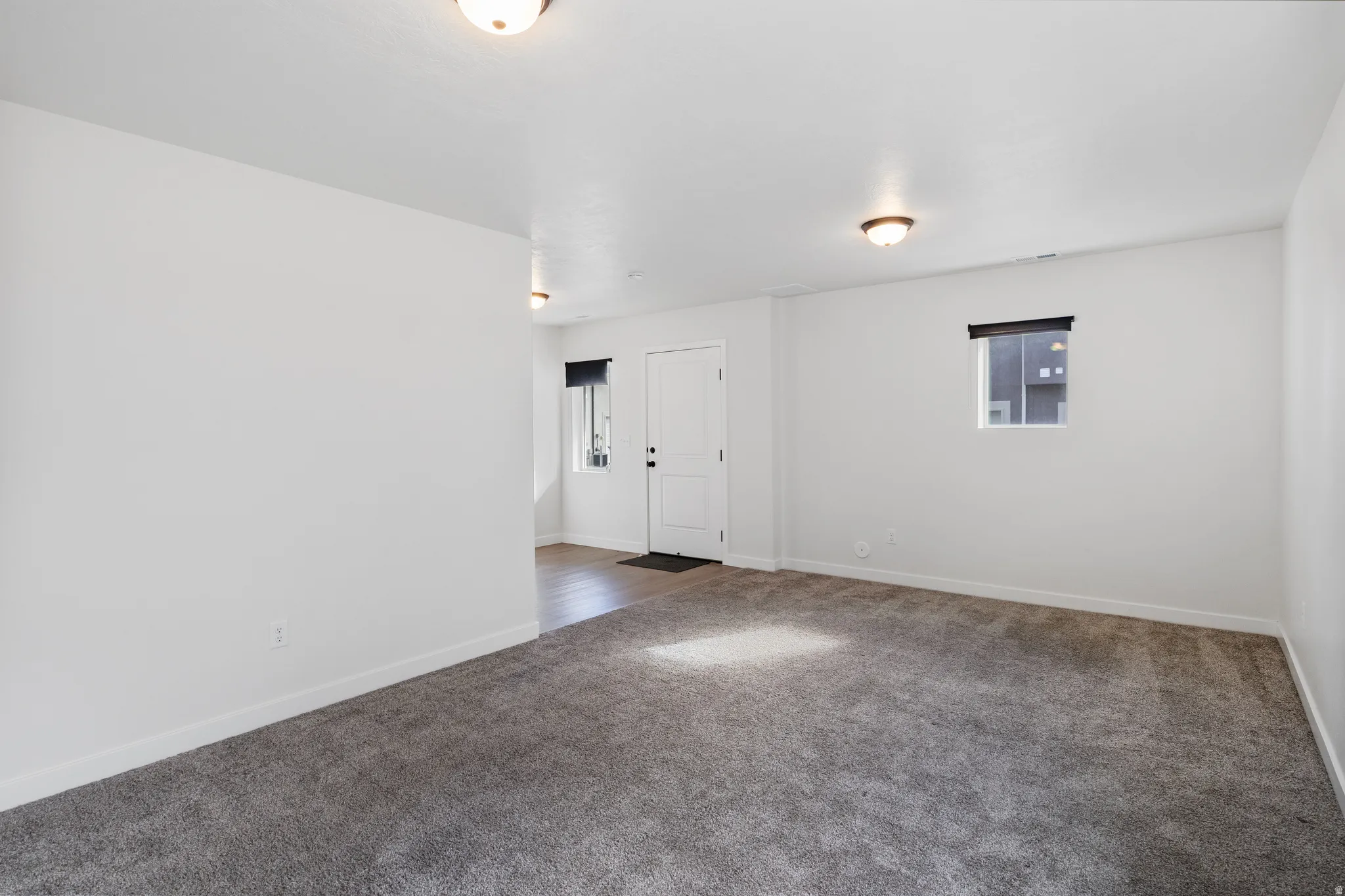 Carpeted spare room with plenty of natural light