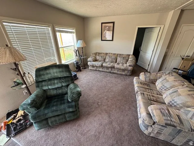 Carpeted living area featuring a textured ceiling