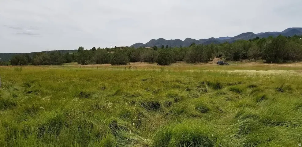 View of undeveloped land featuring rural landscape and a mountainous background