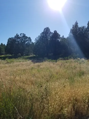 View of local wilderness featuring rural landscape
