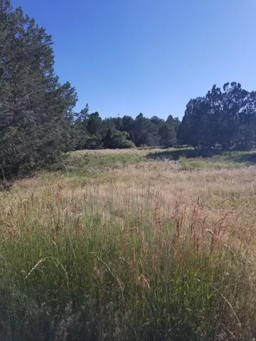 View of wooded area featuring a rural view