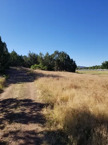View of dirt / gravel road featuring a view of rural / pastoral area