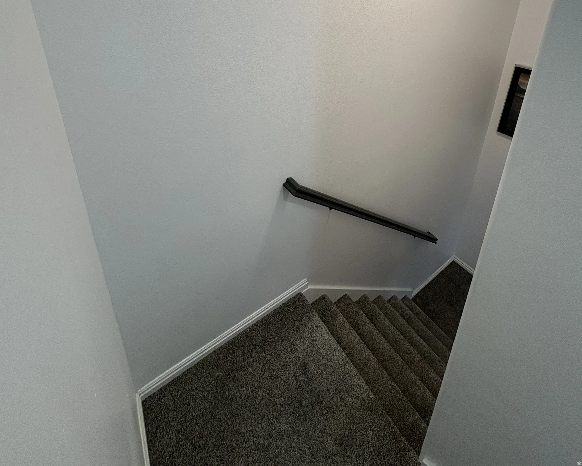 Stairway with baseboards and carpet