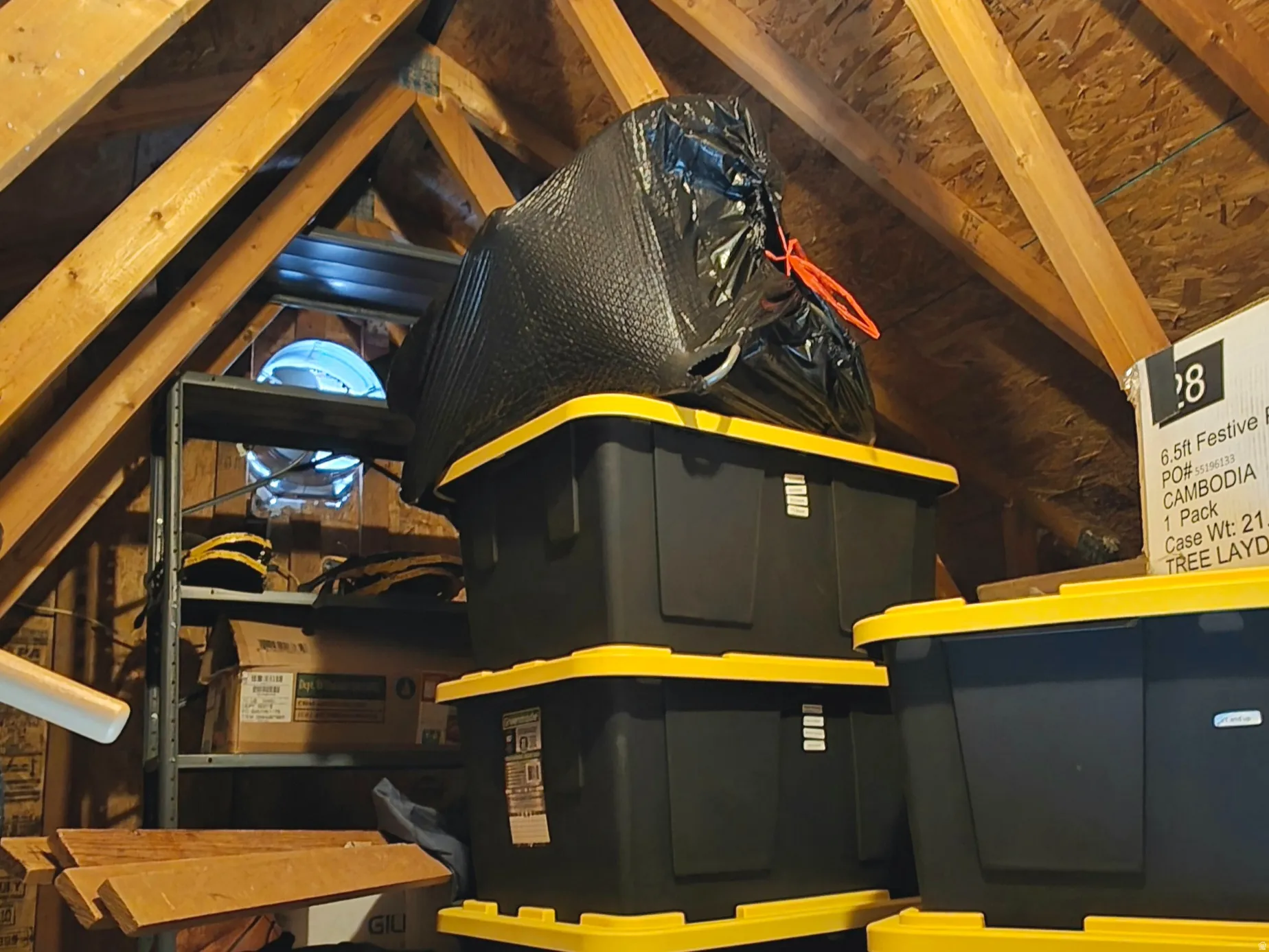 Accessible Attic storage space