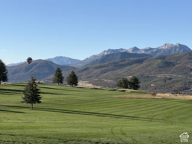 Expansive green landscape featuring distant mountains and mature trees