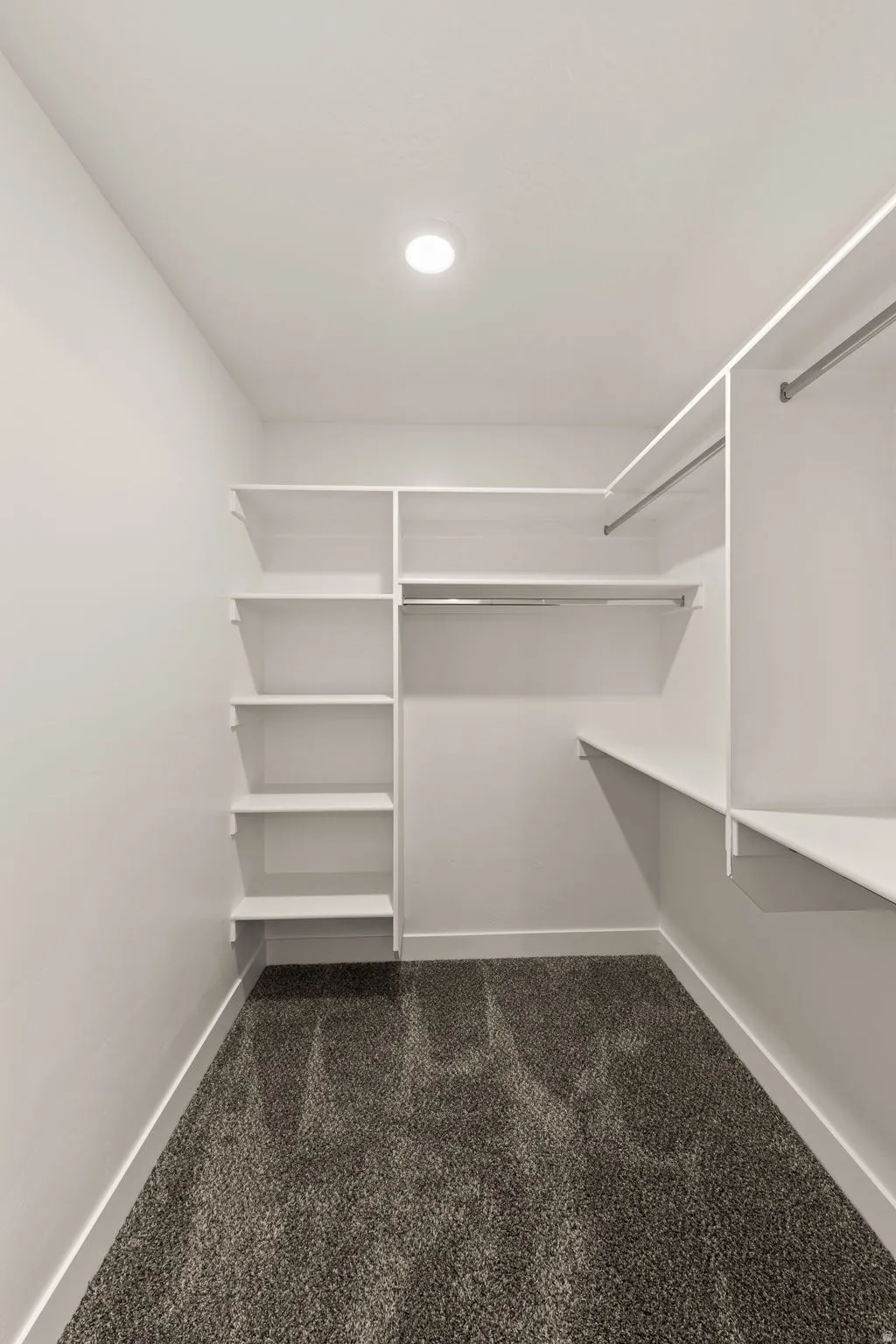 Walk in closet featuring dark carpet