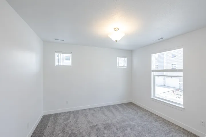 Neutral wall color, carpeted flooring, multiple windows, and an overhead light fixture