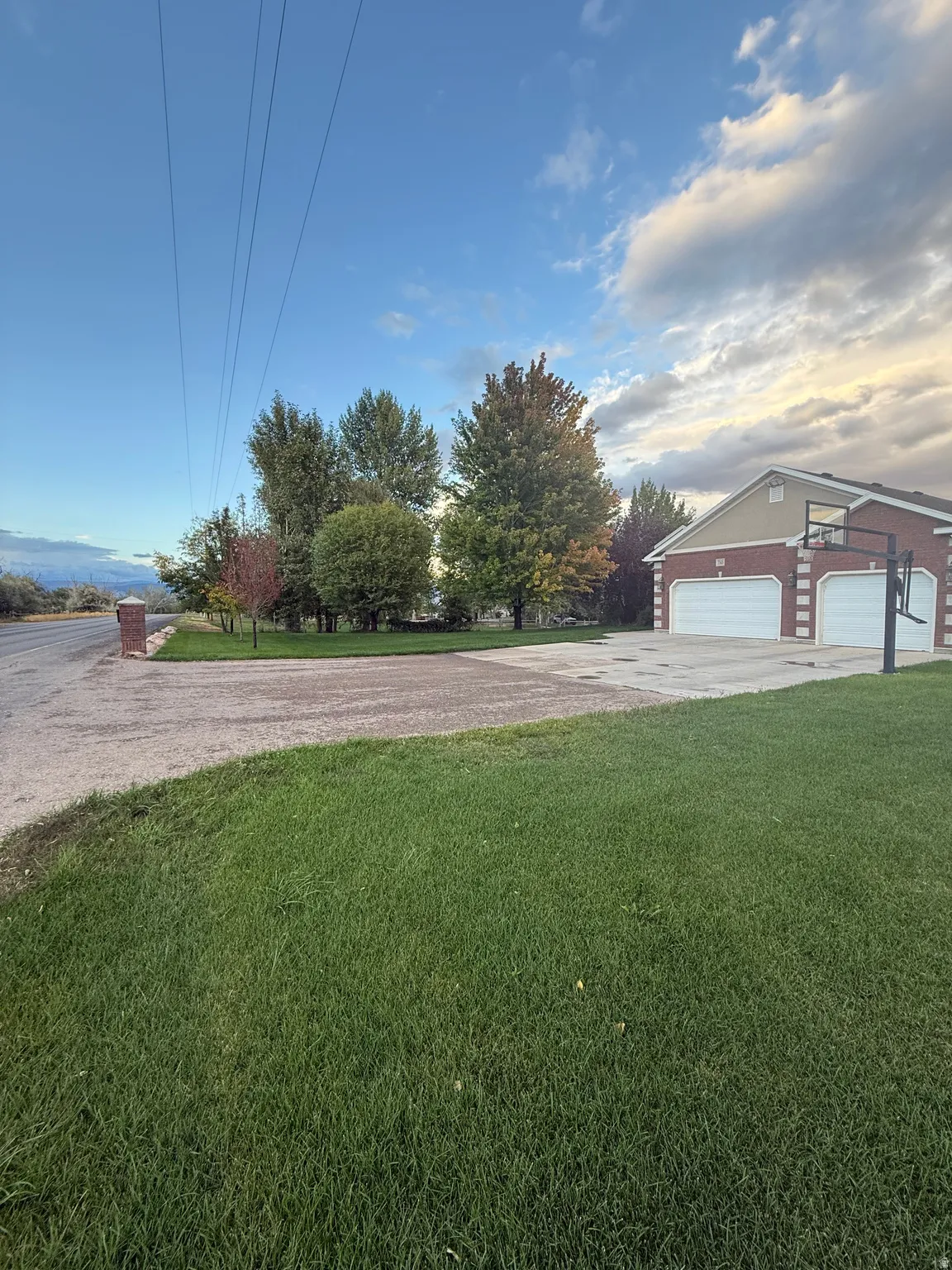 View of green lawn with driveway