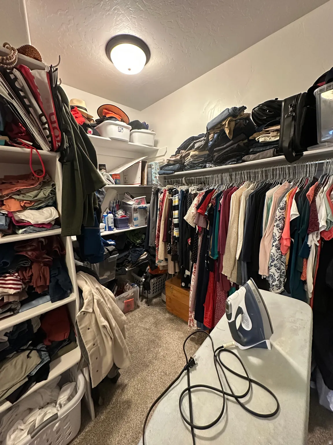 Walk in closet featuring carpet