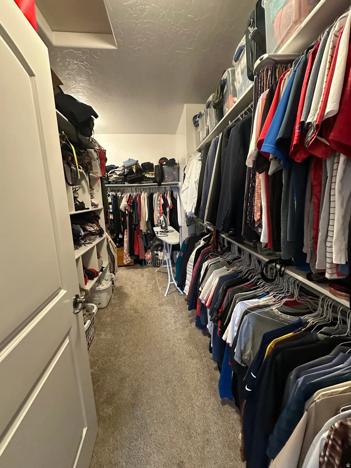 Walk in closet featuring attic access and carpet flooring