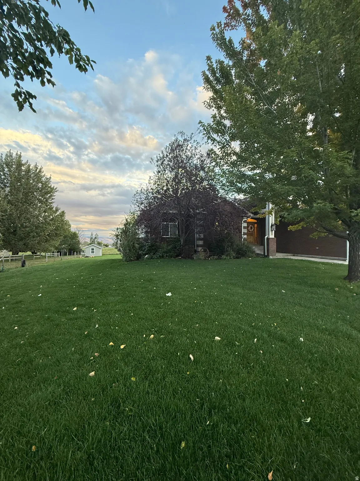 View of grassy yard