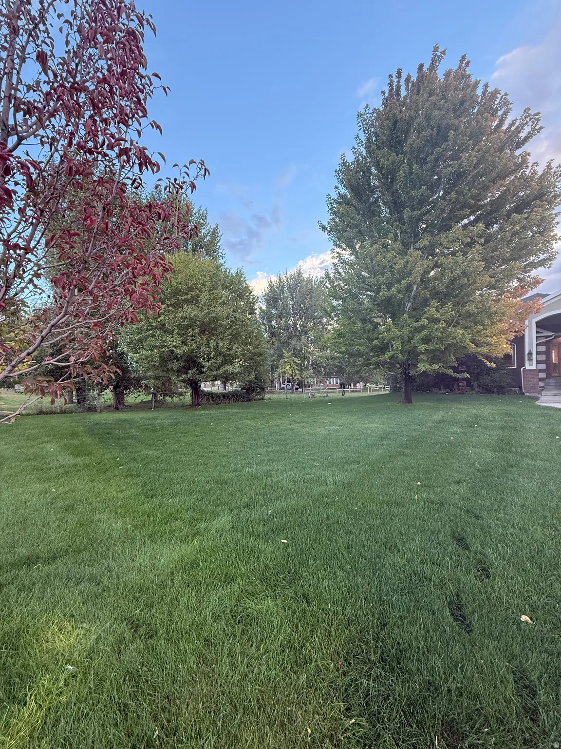 View of green lawn