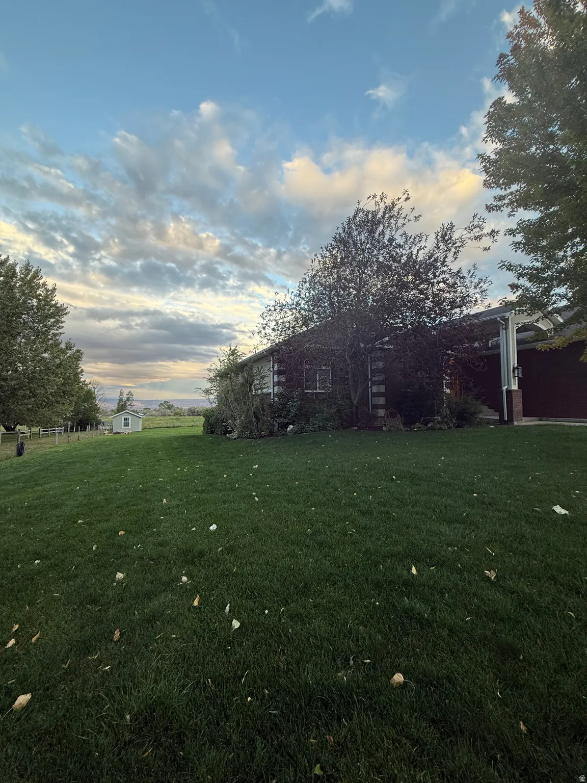 Yard at dusk with a yard