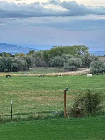 View of grassy yard with a rural view and a mountain view